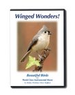 Winged Wonders! Beautiful Birds and World Class Instrumental Music