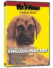 ENGLISH MASTIFF DVD! + Dog & Puppy Training Bonus