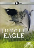 Nature: Jungle Eagle