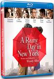 A Rainy Day in New York [Blu-ray]