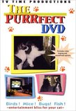 The Purrfect DVD - Cat Entertainment Video