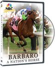 Barbaro - A Nation's Horse
