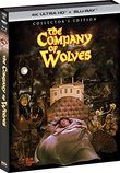 The Company of Wolves: Collector?s Edition [4K UHD]