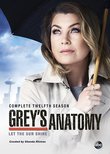 Grey's Anatomy: Season 12