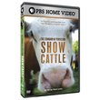 The Standard of Perfection: Show Cattle