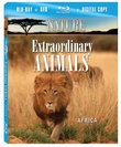 NATURE: Extraordinary Animals: Africa (Blu-ray Combo Pack)