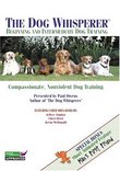 Beginning and Intermediate Dog Training