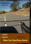 Heart Health. Autumn Trails Through Denver Colorado. Indoor Cycling Training / Spinning Fitness and Workout Videos