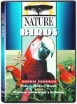 Nature - Birds