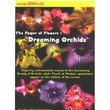 The Power of Flowers 1: "Dreaming Orchids"