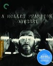 A Hollis Frampton Odyssey (Criterion Collection) [Blu-ray]