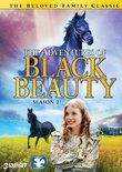 Adventures of Black Beauty: Season Two
