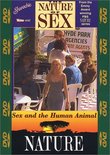 Nature of Sex: Sex & Human Animal