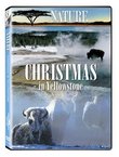 Christmas in Yellowstone