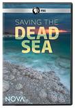 NOVA: Saving the Dead Sea DVD