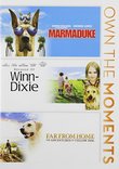 Marmaduke / Because of Winn Dixie / Far From Home