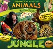Discover the World of Animals: Jungle