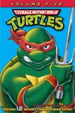 Teenage Mutant Ninja Turtles - Original Series (Volume 5)