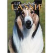 Lassie - The Painted Hills