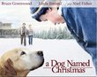 A Dog Named Christmas DVD (Hallmark Hall of Fame)