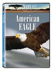 Nature:American Eagle