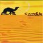 Camel Footage II