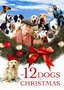 Chicken Soup For The Soul Presents: The 12 Dogs Of Christmas