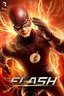 The Flash: Season 2 [Blu-ray]