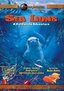 SEA LIONS : A CALIFORNIA ADVENTURE