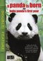 A Panda Is Born/Baby Panda's First Year