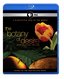 The Botany of Desire [Blu-ray]