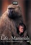 The Life of Mammals, Vol. 4