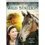 Wild Stallion