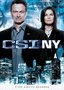 CSI: NY - The Eighth Season