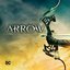 Arrow: The Complete Fifth Season [Blu-ray]