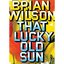 Brian Wilson: That Lucky Old Sun