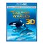 Dolphins and Whales (Blu-ray 3D + Blu-ray)
