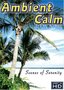 Ambient Calm: 14 Serene Scenes of Relaxation, Wellness, and Stress Relief