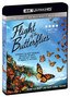 IMAX: Flight Of The Butterflies (4K UHD / 3-D Bluray) [Blu-ray]