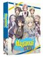 Haganai Next: Season 2 (Limited Edition DVD/Blu-ray Combo)