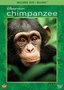 Disneynature Chimpanzee (Two-Disc Blu-ray/DVD Combo in DVD Packaging)