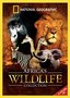 Africa's Wildlife Collection (6pc) (Gift)