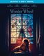 Wonder Wheel Blu-ray