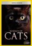 Science of Cats
