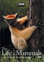 The Life of Mammals, Vol. 3