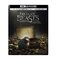 Fantastic Beasts and Where to Find Them Steelbook (4K Ultra HD+ Blu-ray + Digital HD)