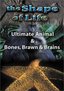 The Shape of Life: Ultimate Animal/Bones, Brawn and Brains