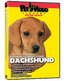 Dachshund DVD + Dog & Puppy Training Bonus