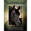 The Adventures of the Black Stallion - The Complete Second Season