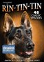 The Legend of Rin-Tin-Tin: America's Favorite Canine Hero